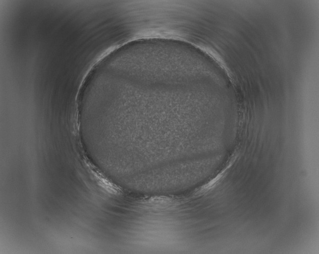 X0000074010974200609061045