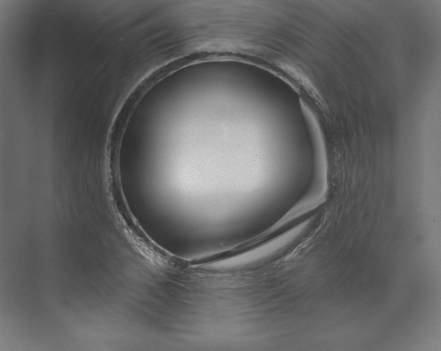 X0000074010976200609061045