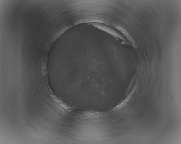 X0000074010977200609061045