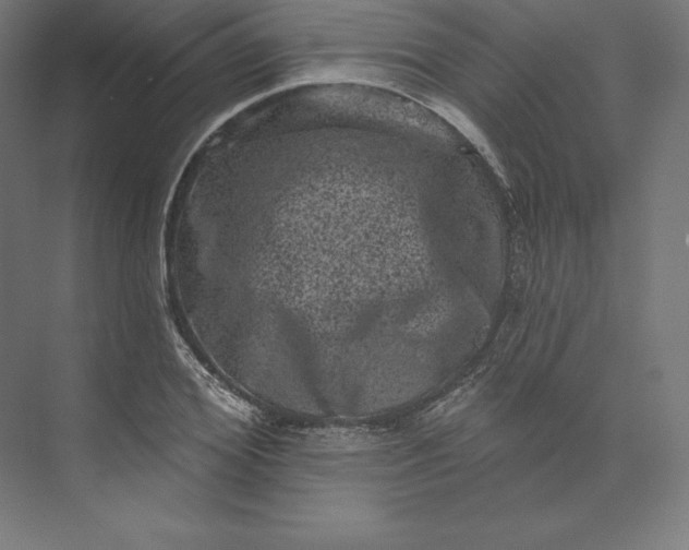 X0000074010980200609061045