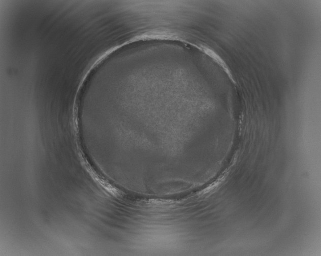 X0000074010981200609061045