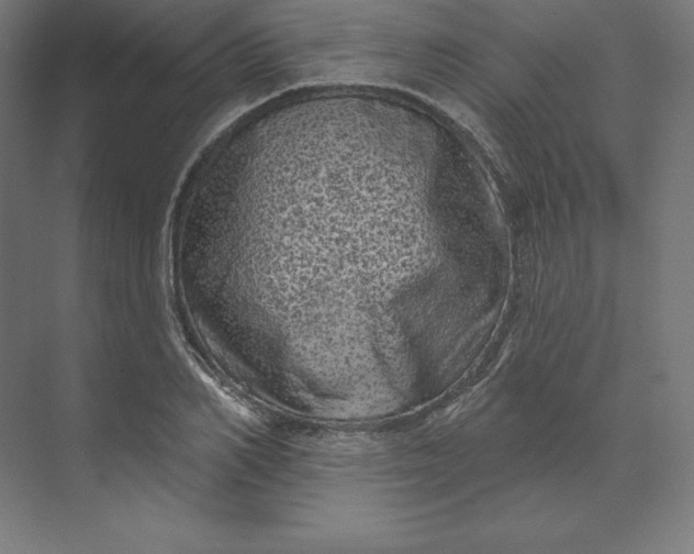 X0000074010982200609061045