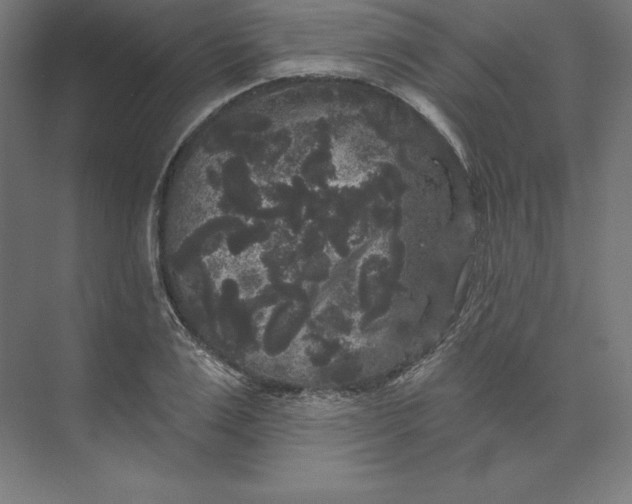 X0000074010983200609061045