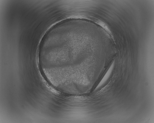 X0000074010984200609061045