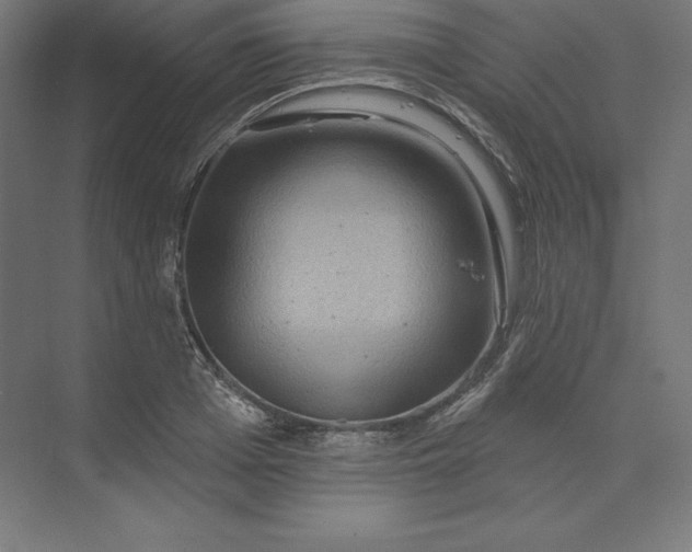 X0000074010985200609061045