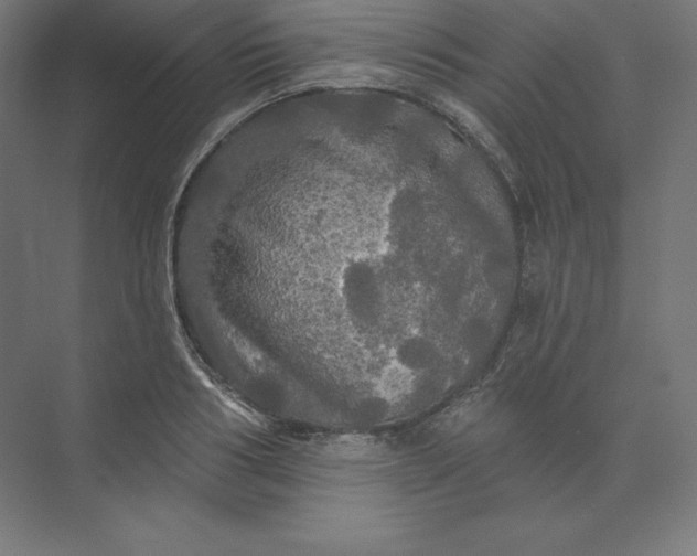 X0000074010986200609061045