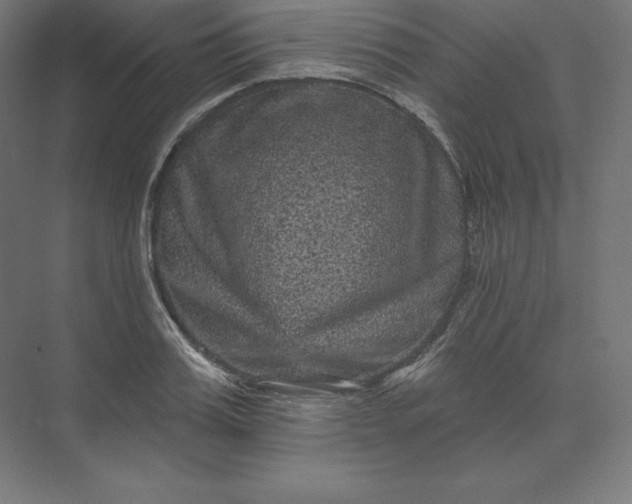 X0000074010987200609061045