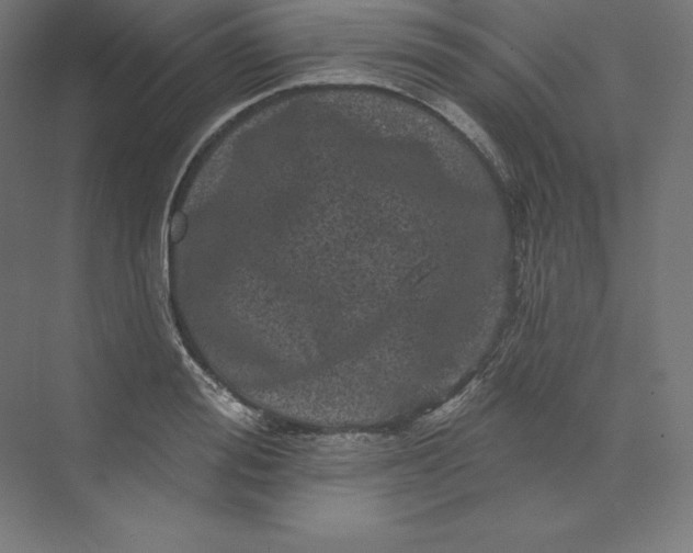 X0000074010988200609061045