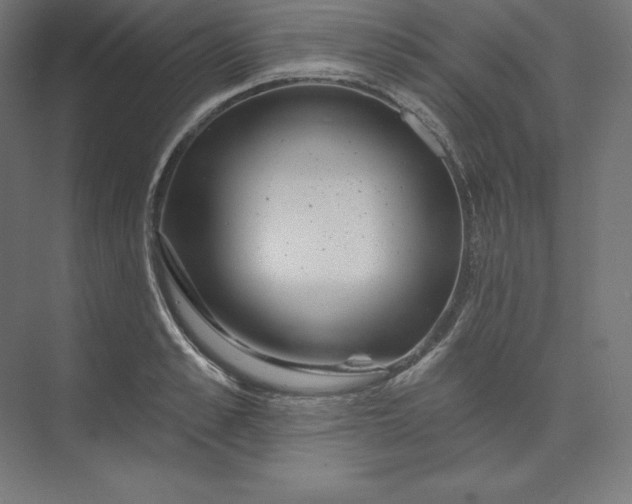 X0000074010989200609061045