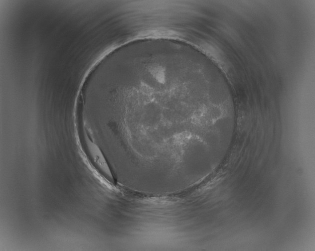 X0000074010990200609061045