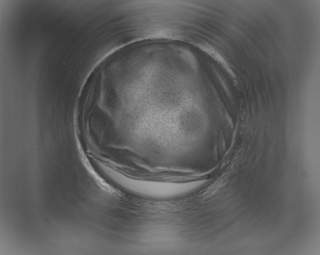 X0000074010991200609061045