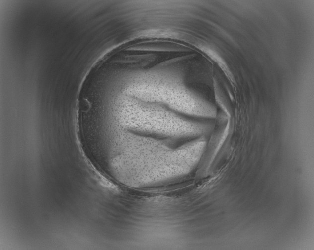 X0000074010992200609061045