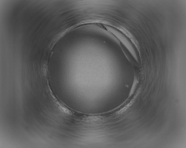 X0000074010993200609061045