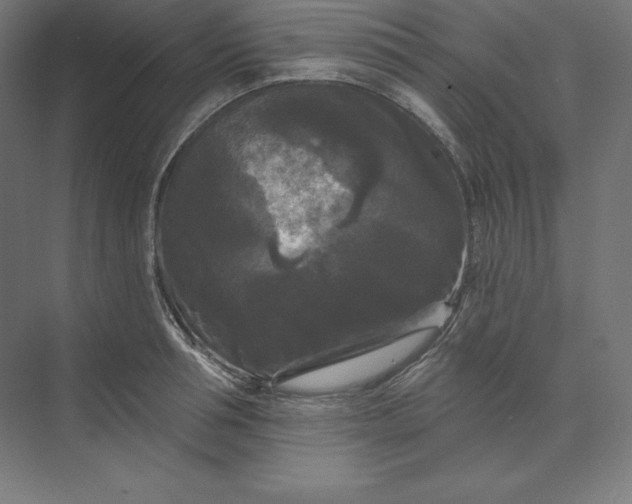 X0000074010994200609061045