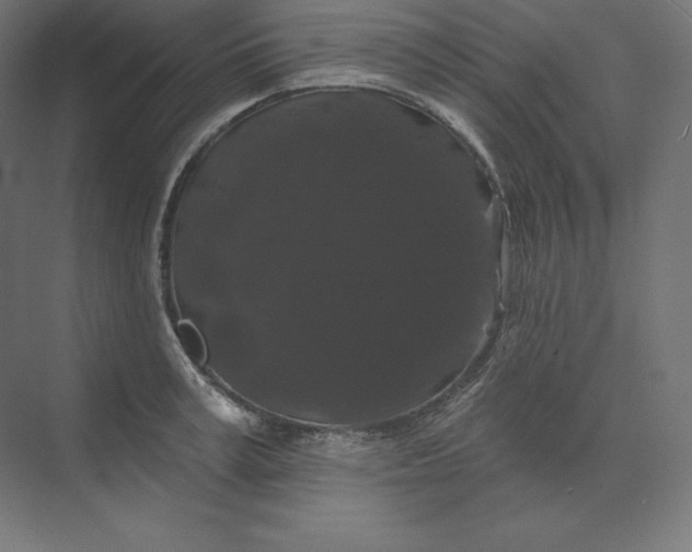 X0000074010995200609061045