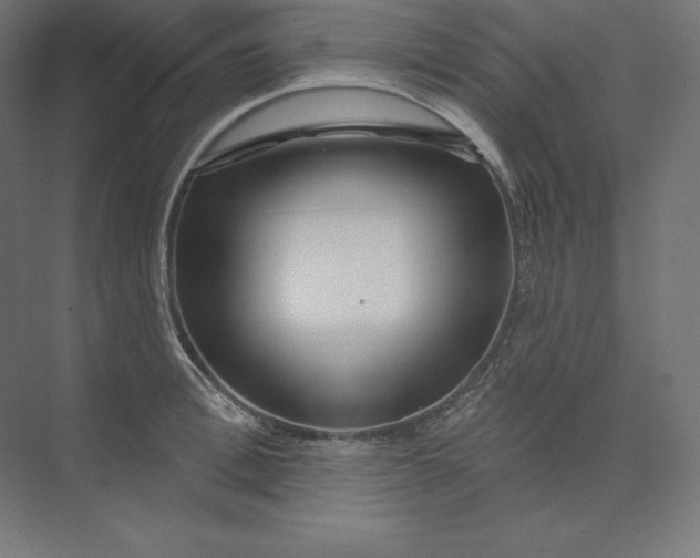 X0000074010996200609061045