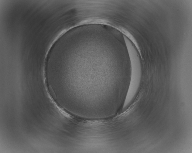 X0000074010997200609061045