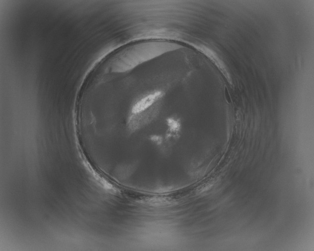 X0000074010998200609061045