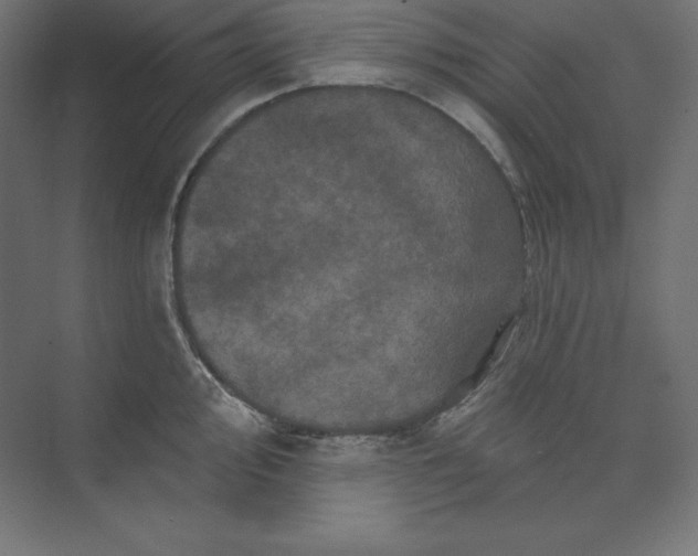 X0000074011000200609061045