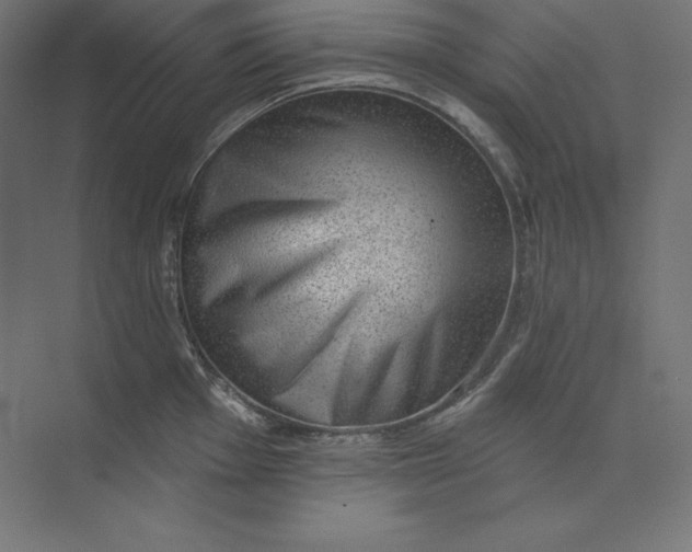 X0000074011001200609061045