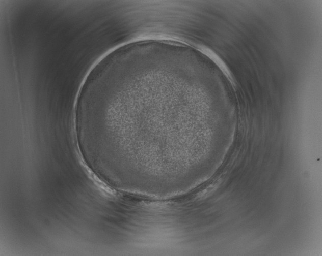 X0000074011004200609061045