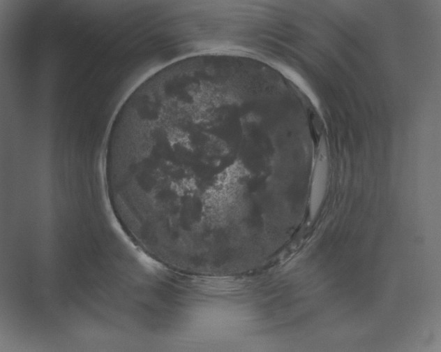 X0000074011007200609061045