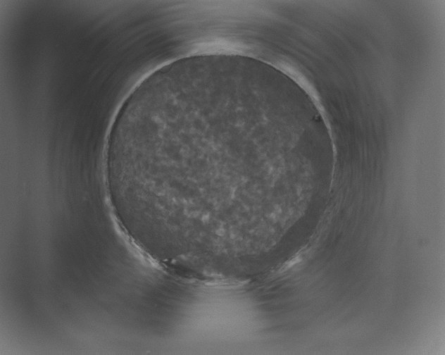 X0000074011008200609061045