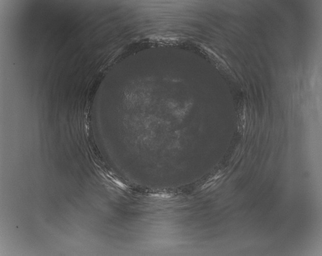 X0000074011010200609061044