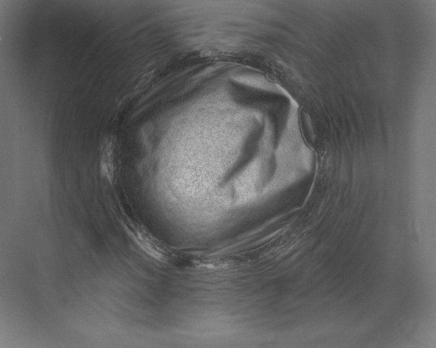 X0000074011012200609061044