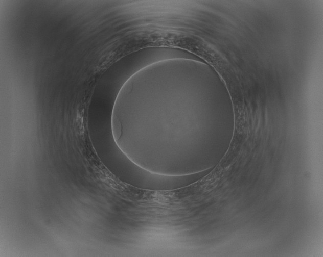 X0000074011013200609061044