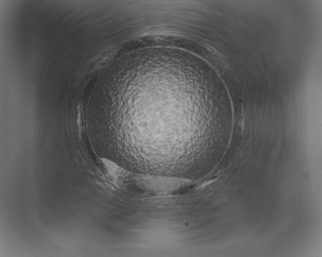 X0000074011014200609061044