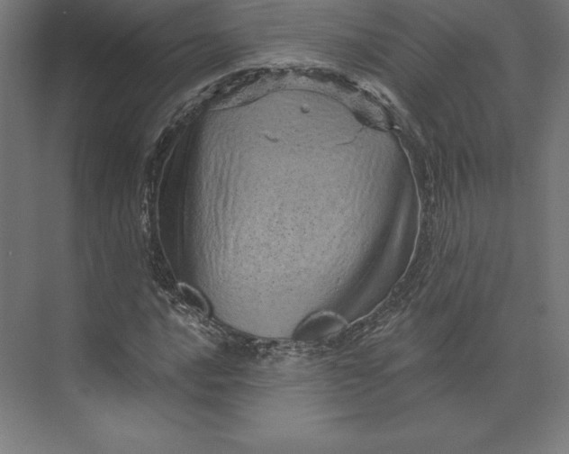 X0000074011016200609061044