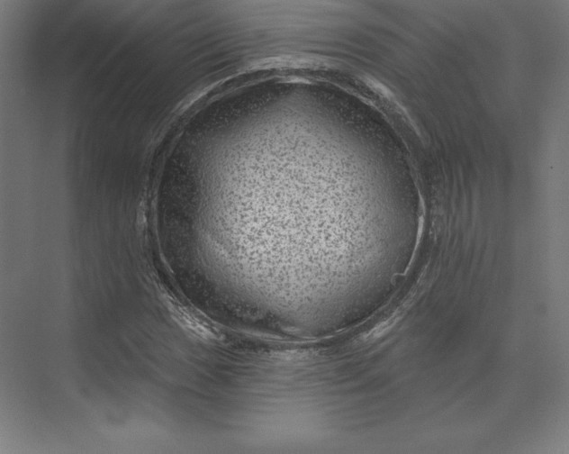 X0000074011017200609061044