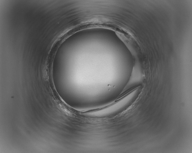 X0000074011018200609061044