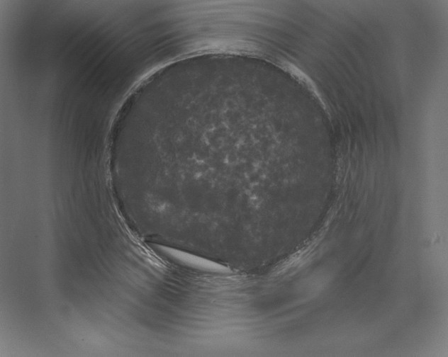 X0000074011019200609061044