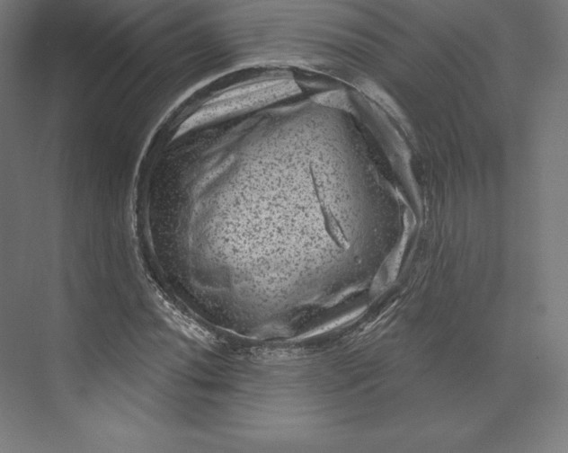 X0000074011020200609061044