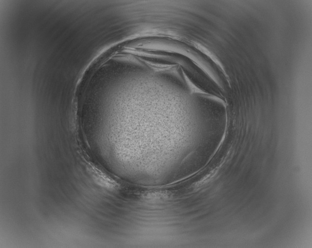 X0000074011021200609061044