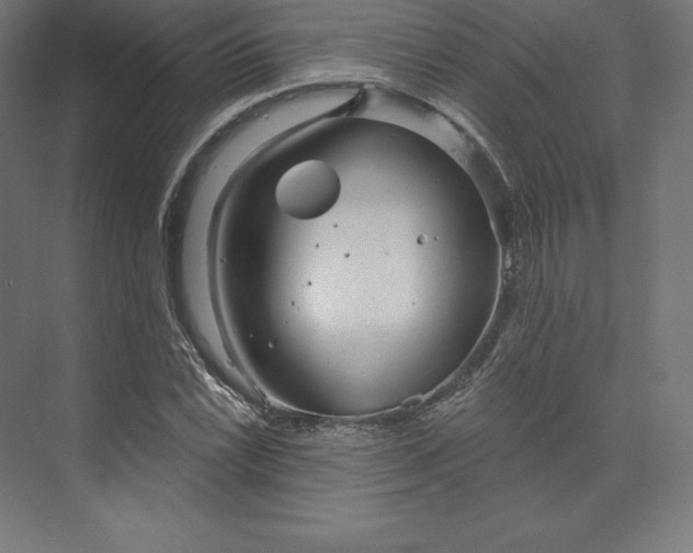 X0000074011022200609061044