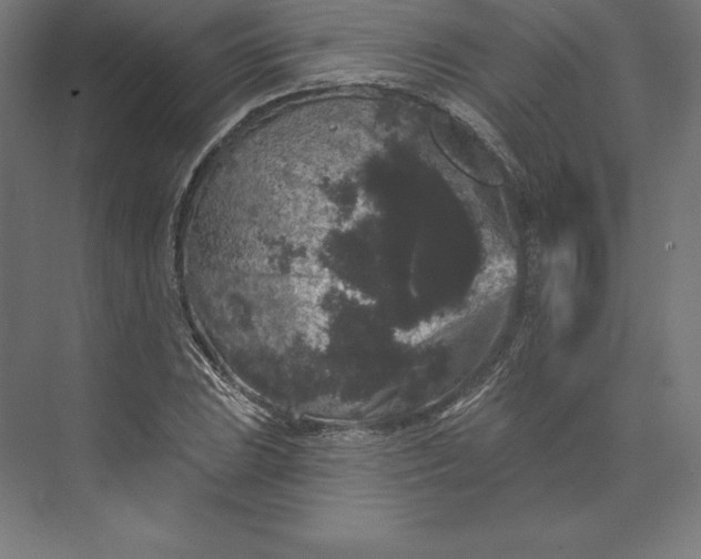 X0000074011023200609061044