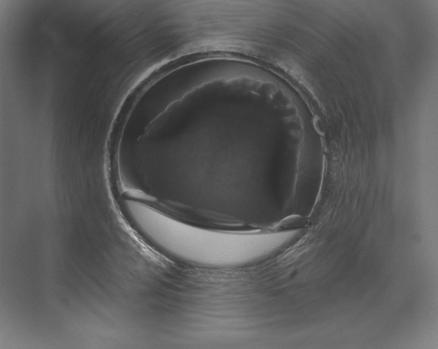 X0000074011024200609061044