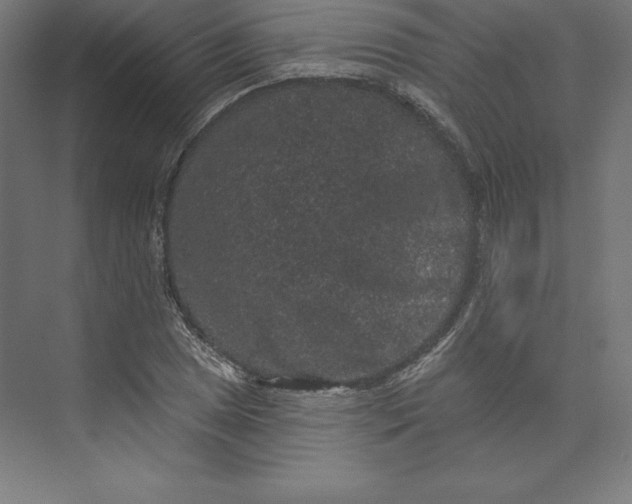 X0000074011025200609061044