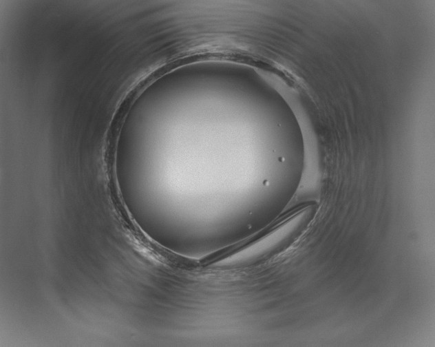 X0000074011026200609061044