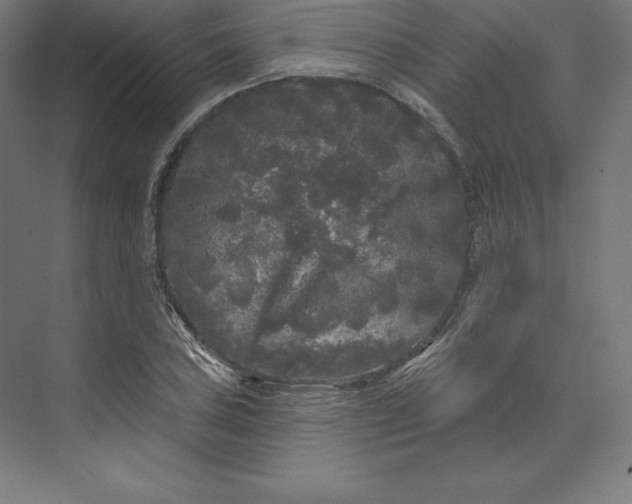 X0000074011027200609061044