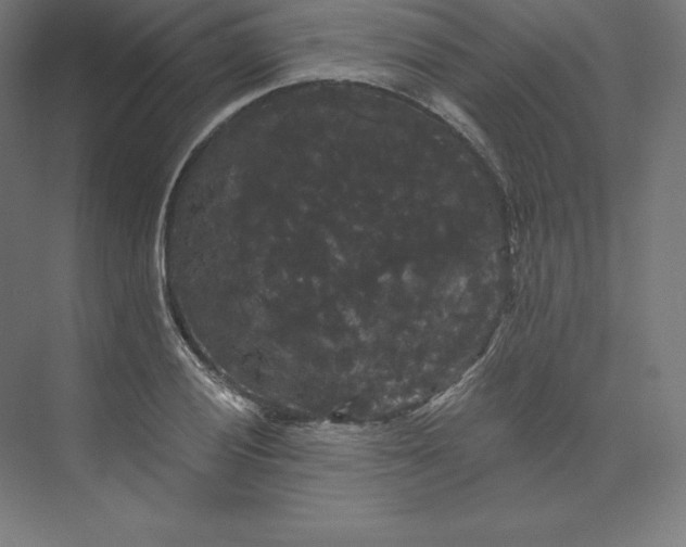 X0000074011028200609061044