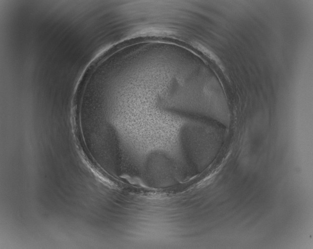 X0000074011029200609061044