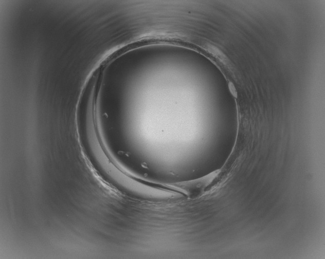 X0000074011030200609061044