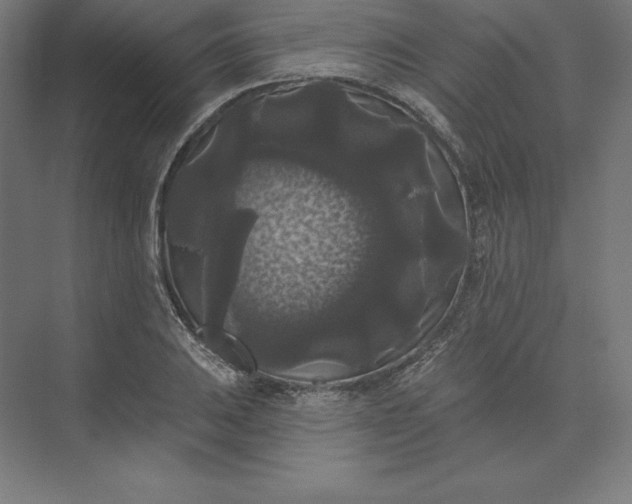 X0000074011031200609061044