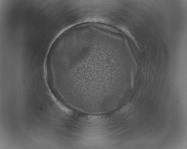 X0000074011032200609061044