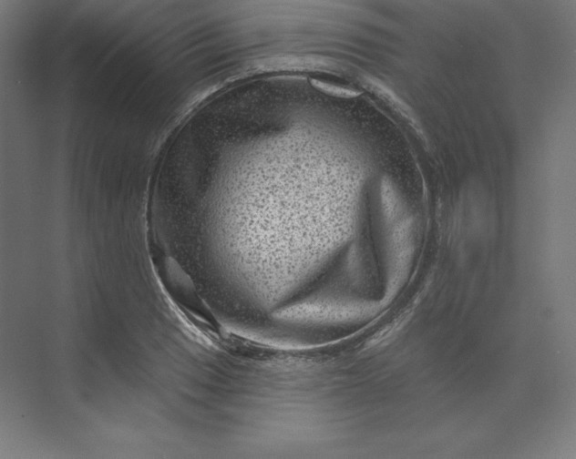 X0000074011033200609061044