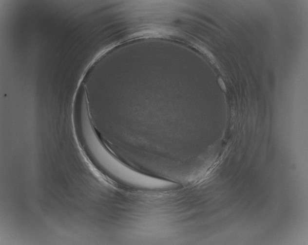 X0000074011034200609061044